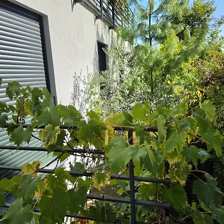 Appartement Charming Urban Retreat With Greenery Views - Kirchberg Business Center